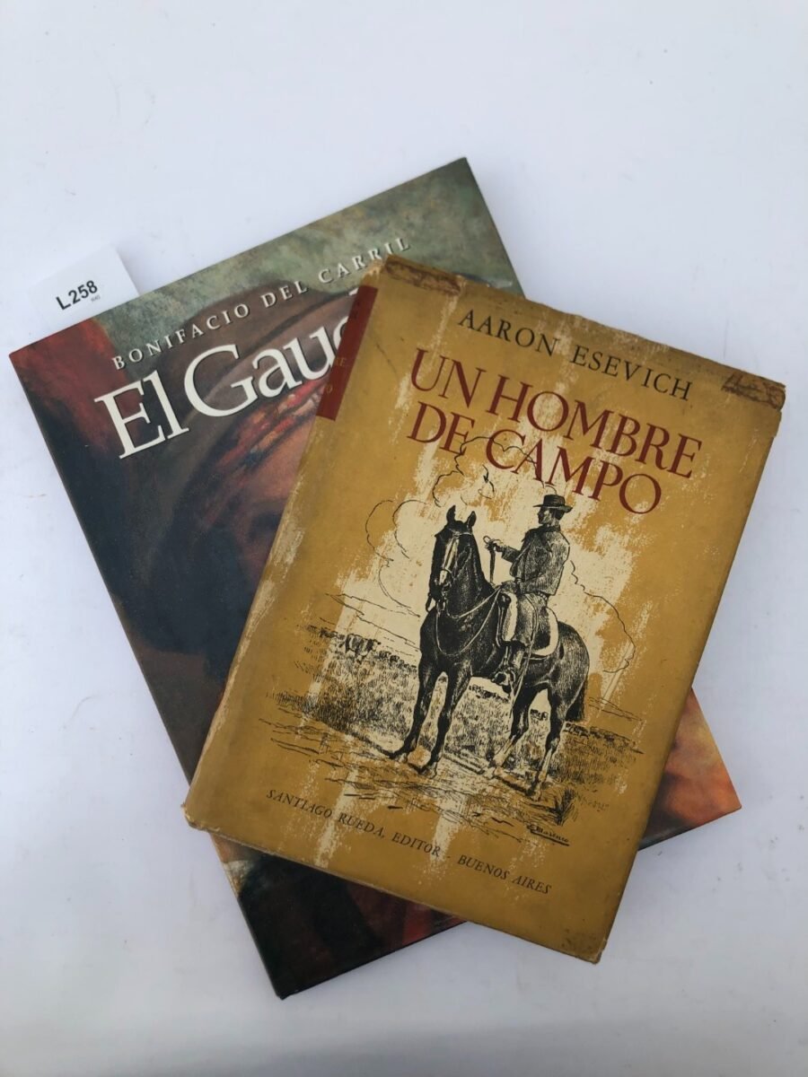 Lote de 30 libros