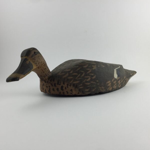 Pato señuelo