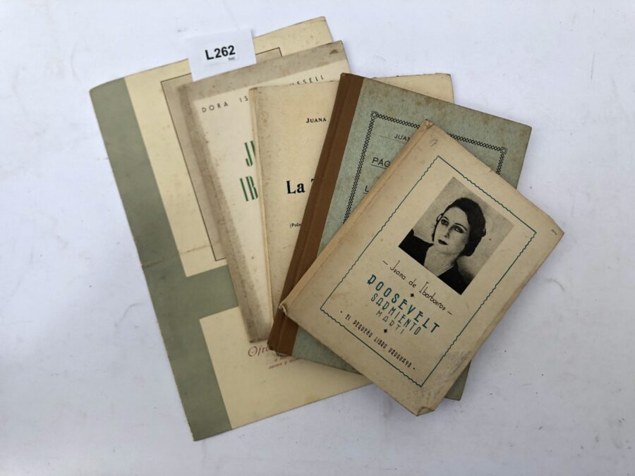 Lote de 12 libros