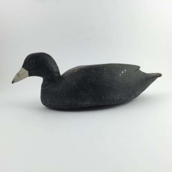Pato señuelo