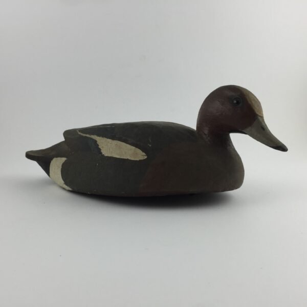 Pato señuelo