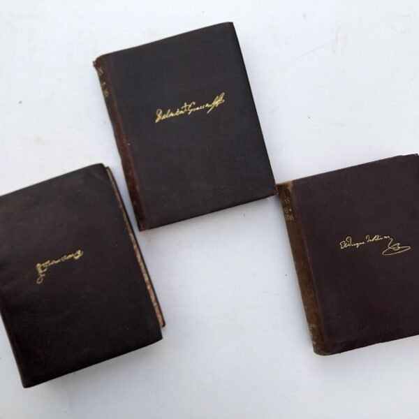Lote de libros