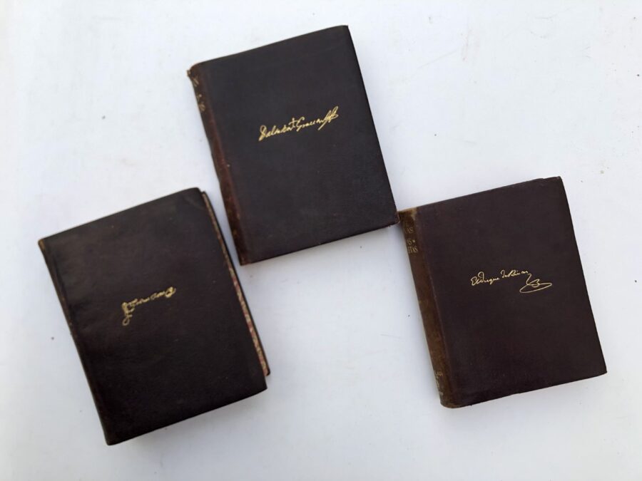 Lote de libros