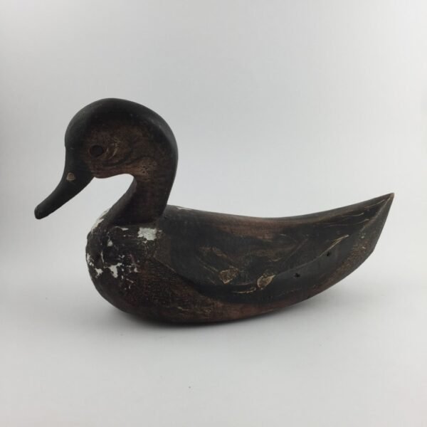 Pato señuelo