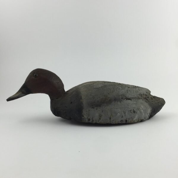 Pato señuelo