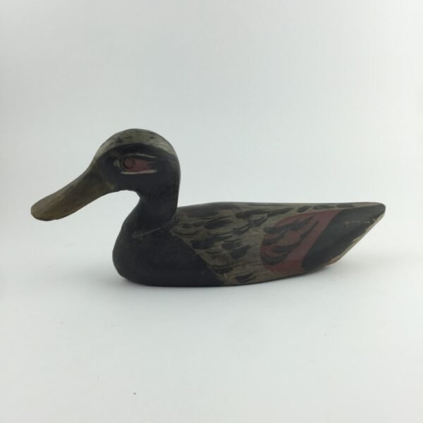 Pato señuelo
