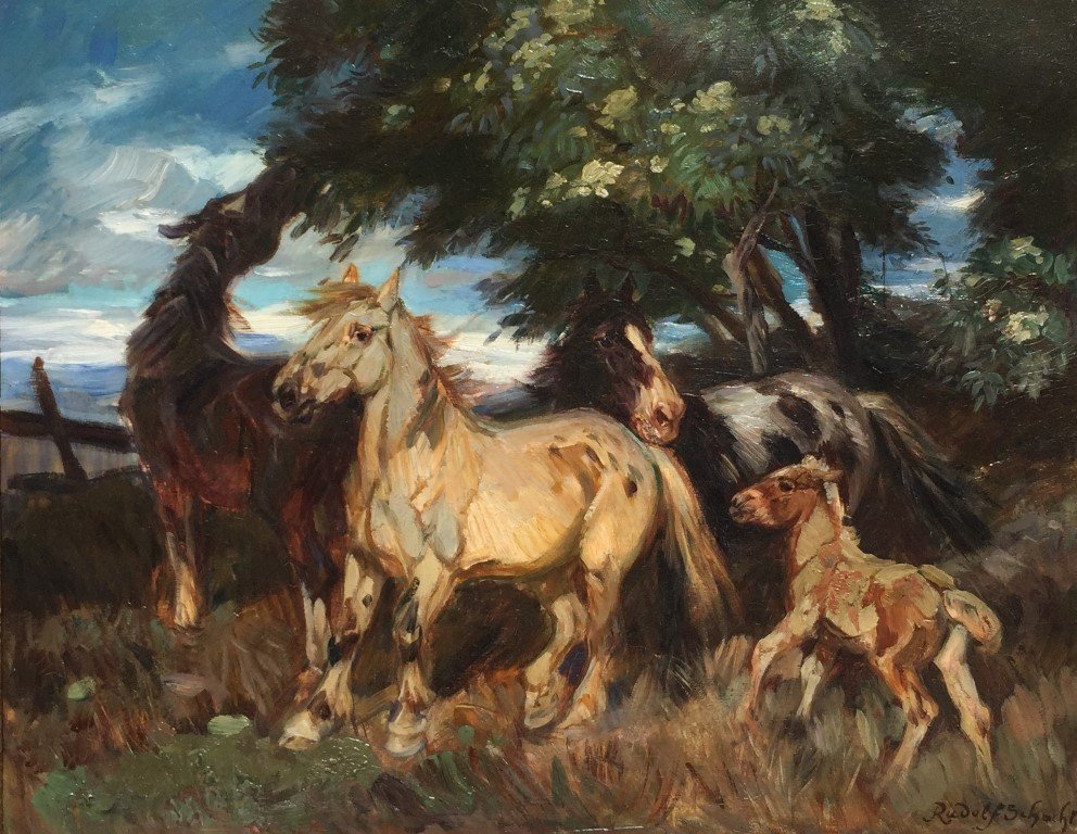 Rudolf Schacht