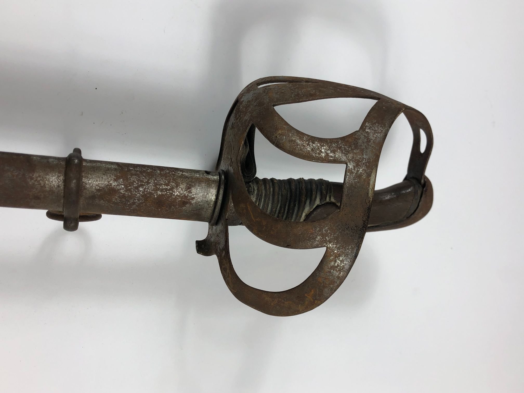 Sable uruguayo - Imagen 2