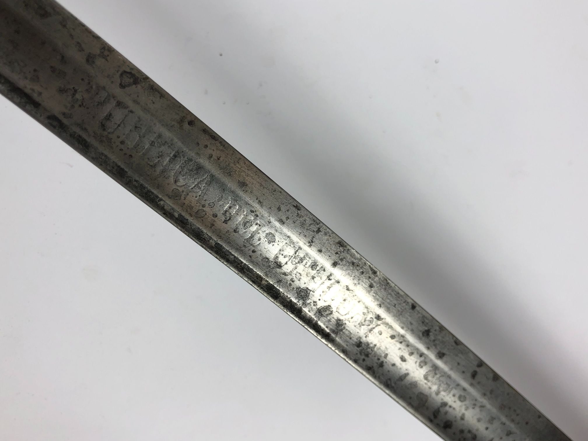 Sable uruguayo - Imagen 3