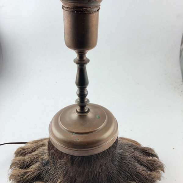 Taxidermia