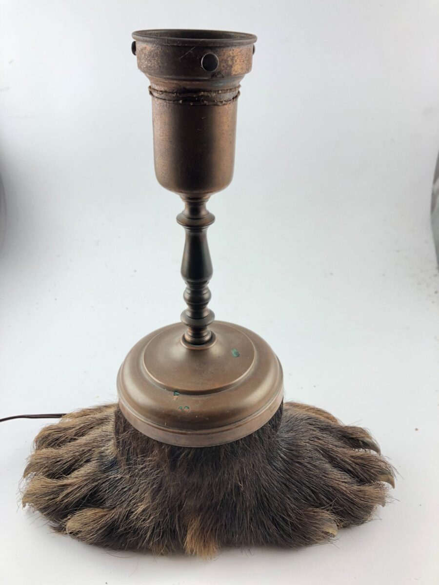 Taxidermia
