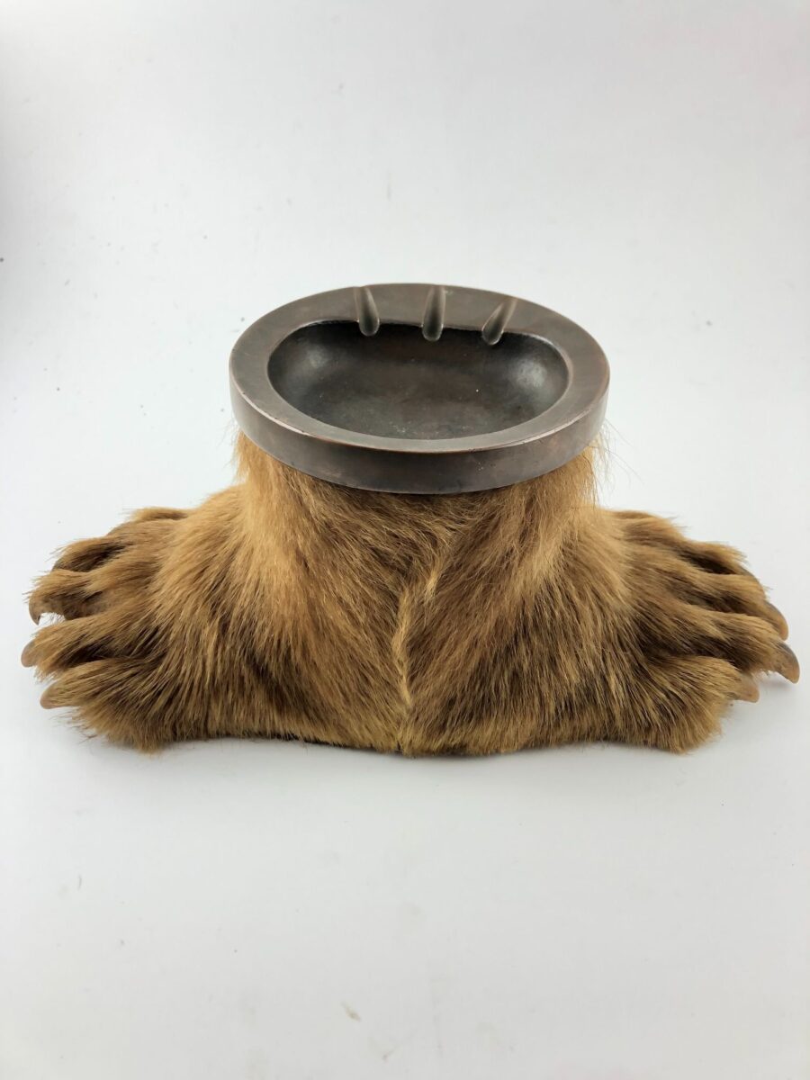 Taxidermia
