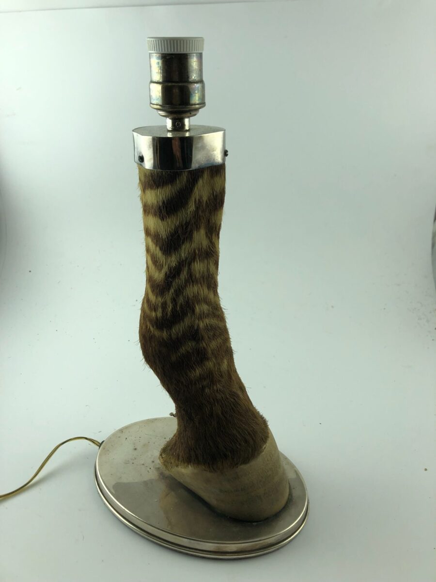 Taxidermia