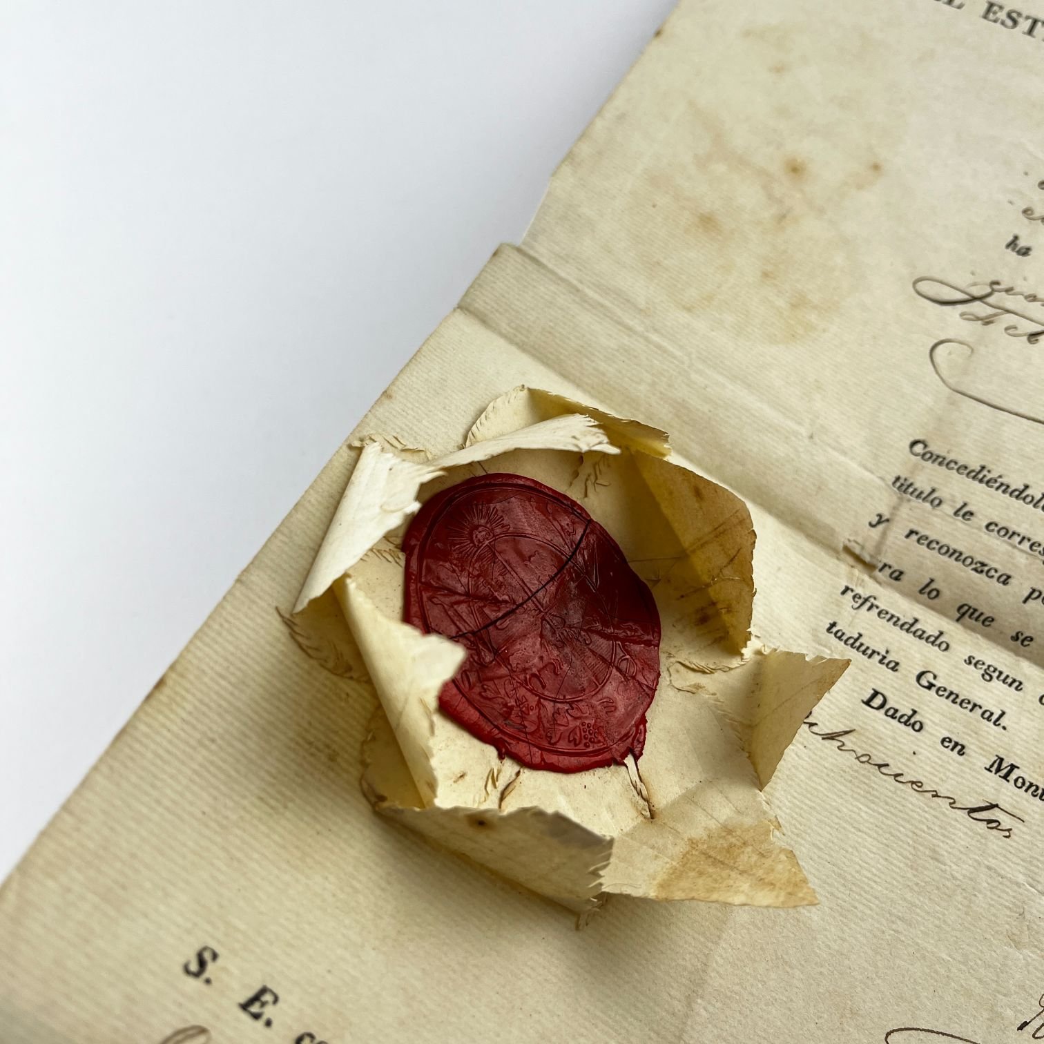 Documento José Rondeau - Imagen 2