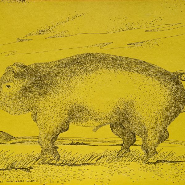 Nicolás García Uriburu
