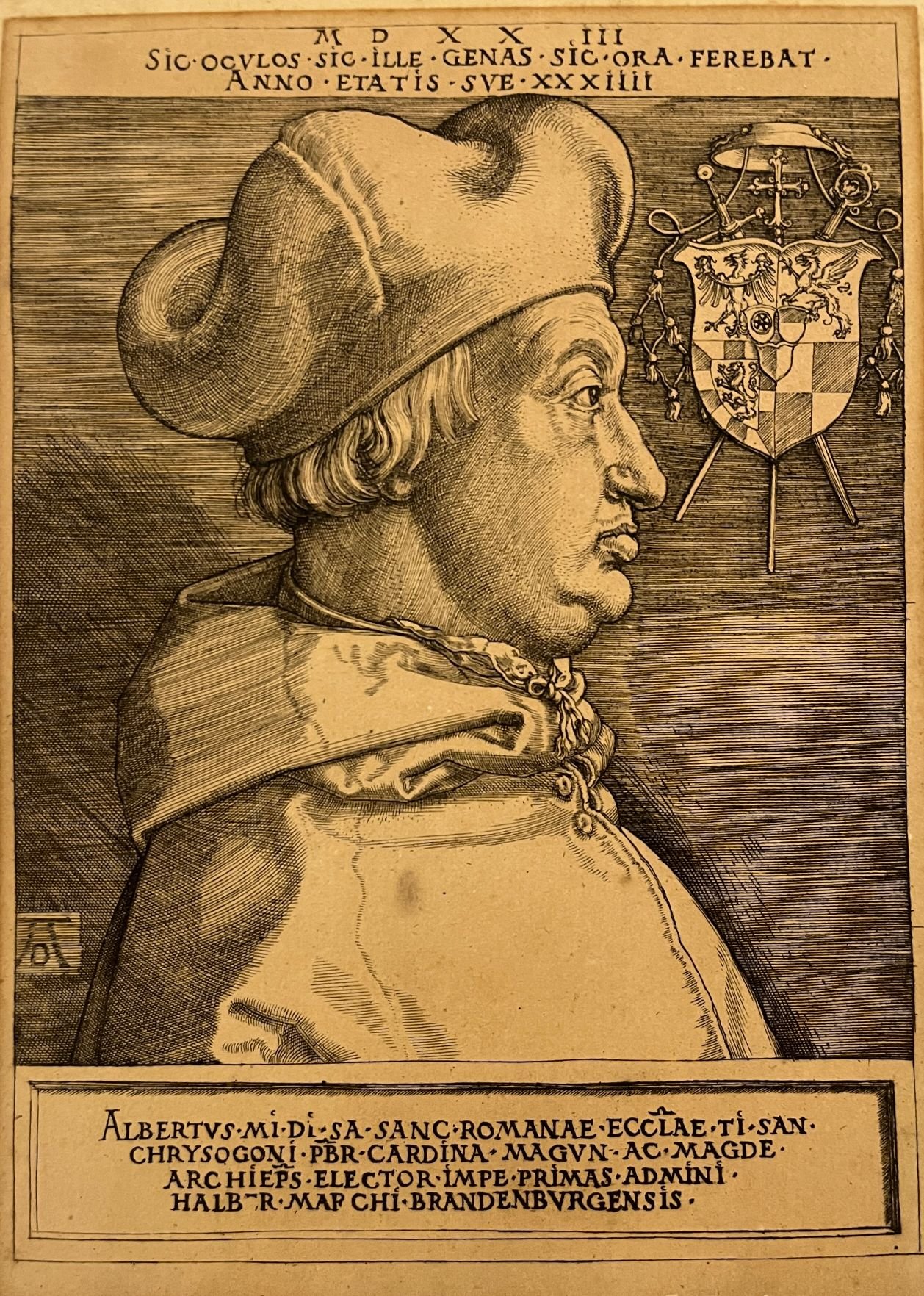Alberto Durero