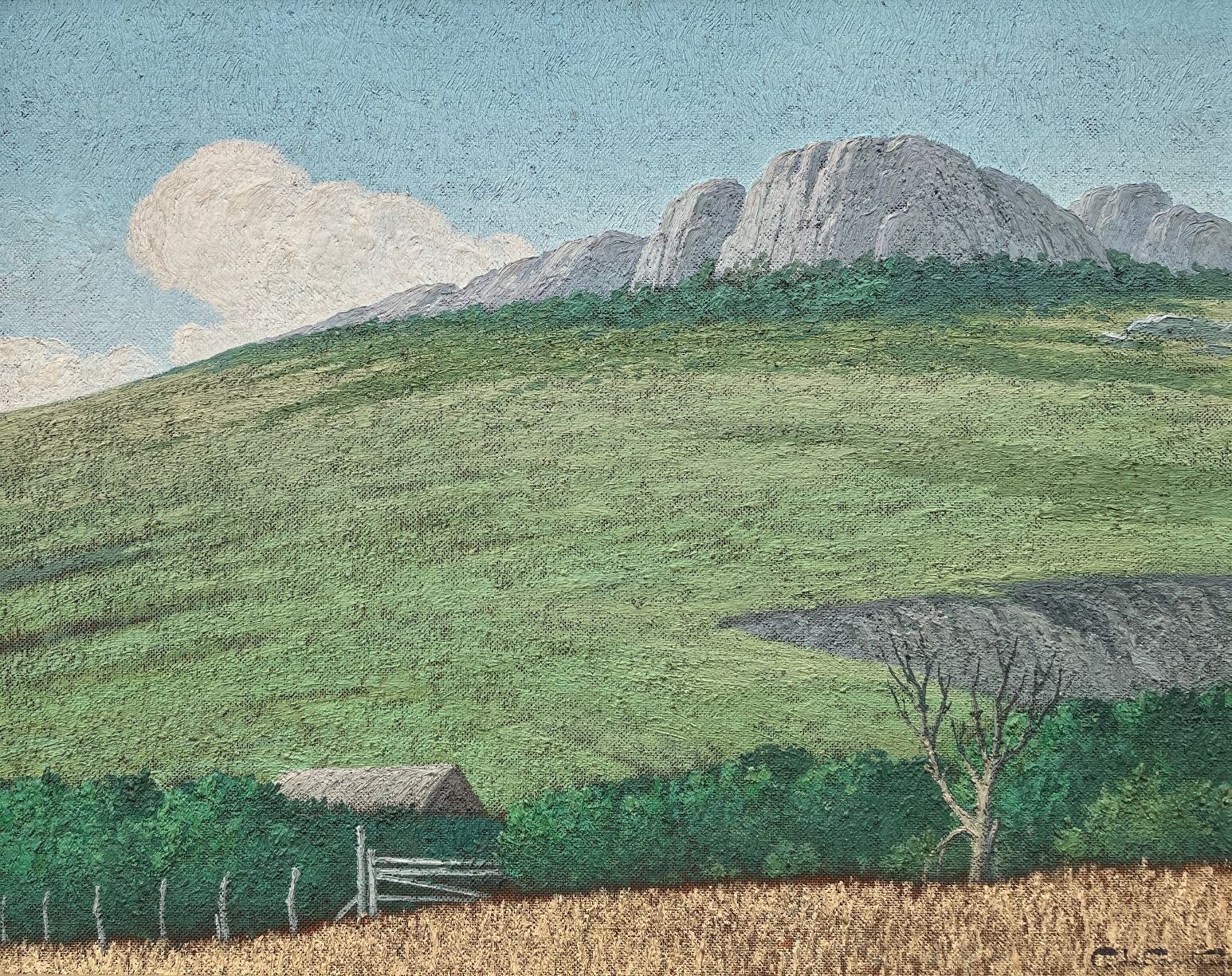 Carlos María de Santiago