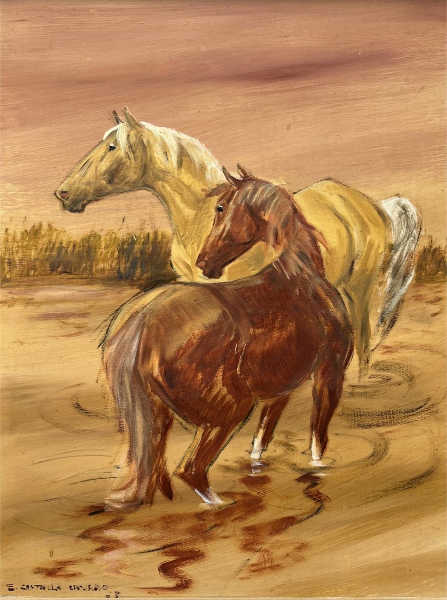 Enrique Castells Capurro "Caballos"