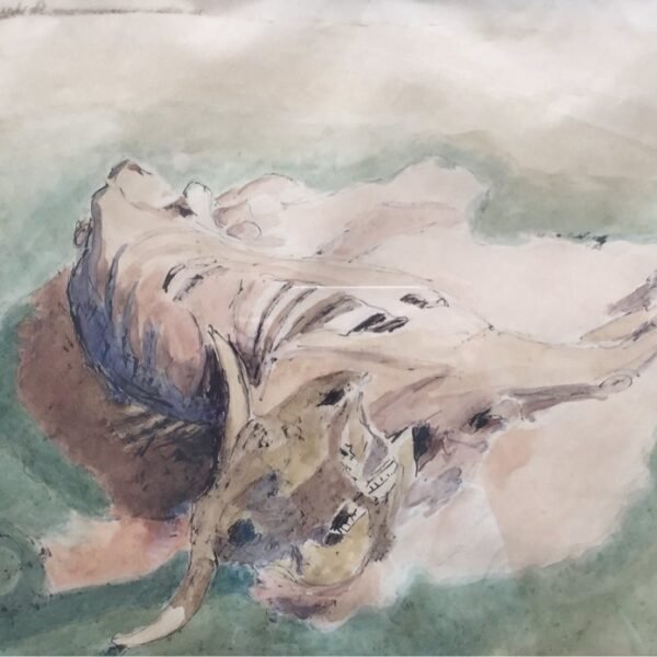 JOSE CUNEO