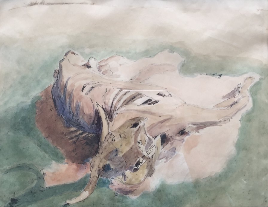 JOSE CUNEO