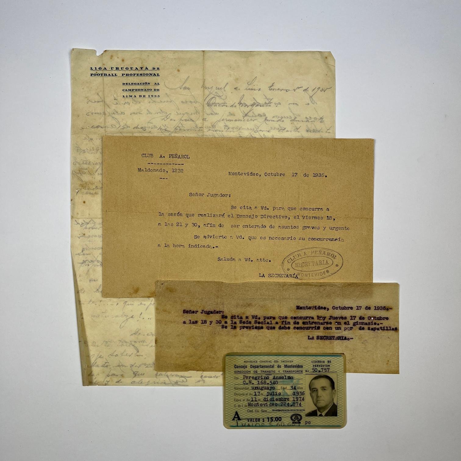 Documentos  Pelegrino Anselmo