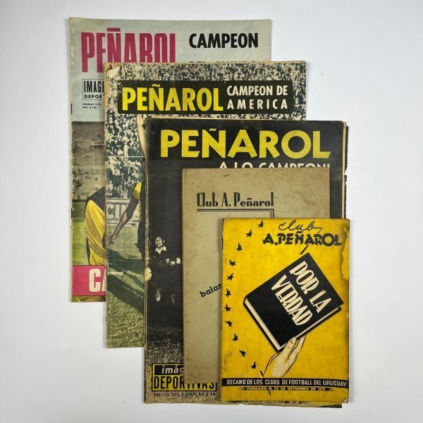 Lote Peñarol