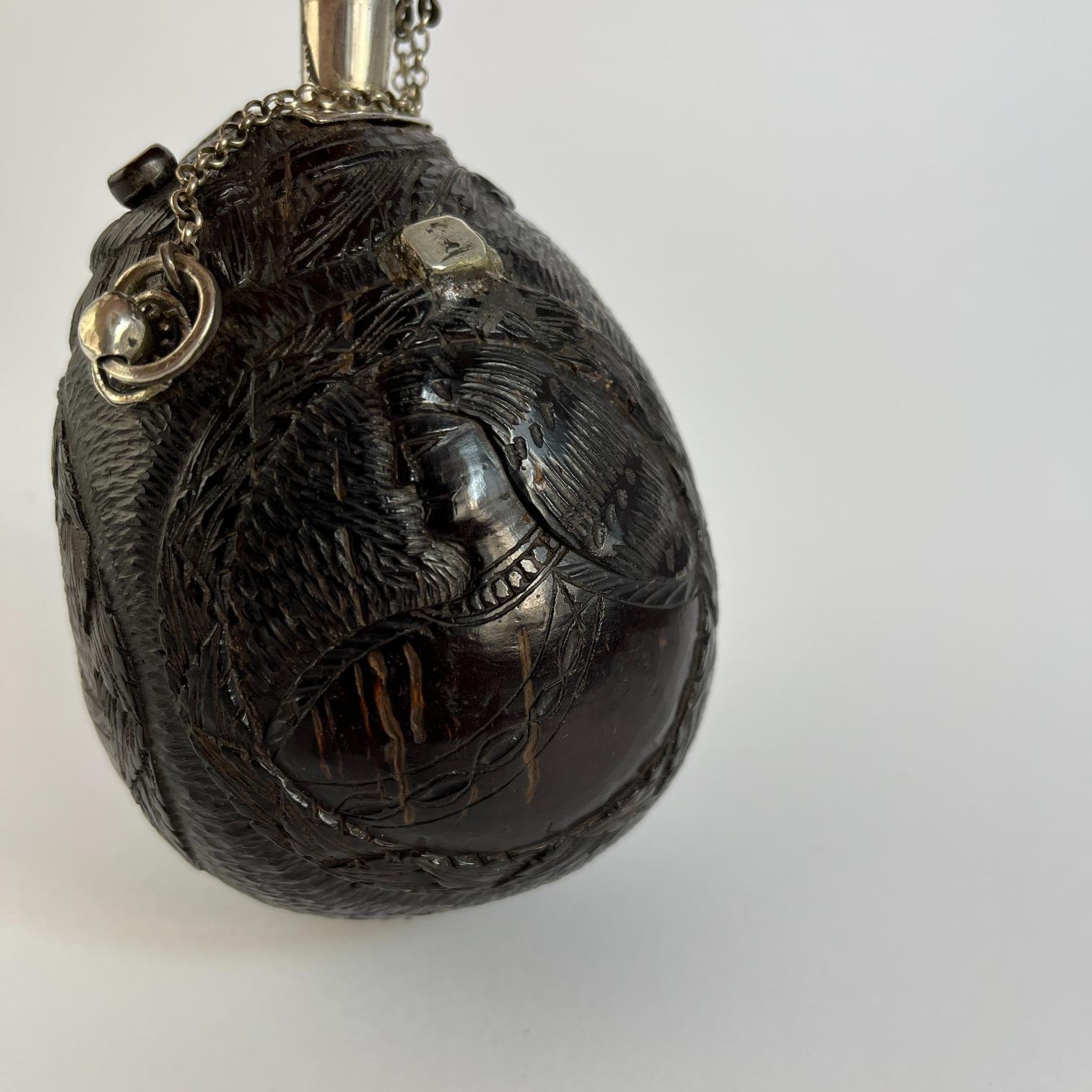 Polvorera hispanoamericana - Imagen 3