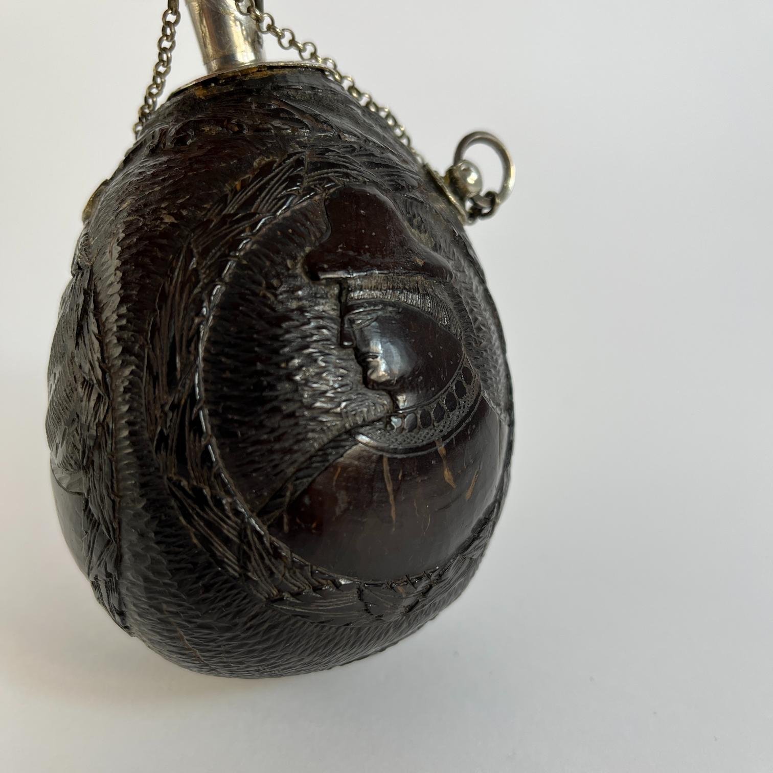 Polvorera hispanoamericana - Imagen 4