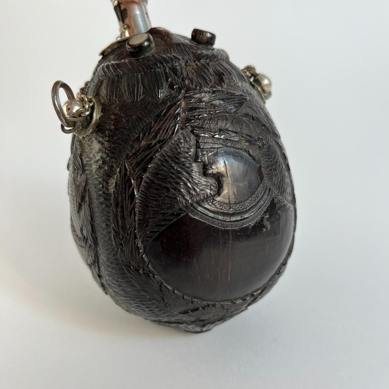 Polvorera hispanoamericana - Imagen 5