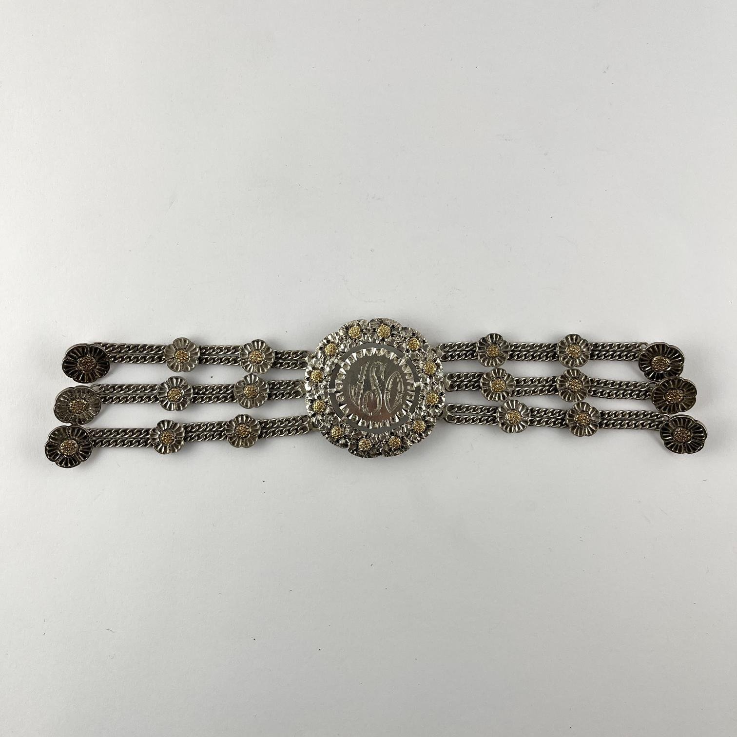 Rastra argentina en plata y oro