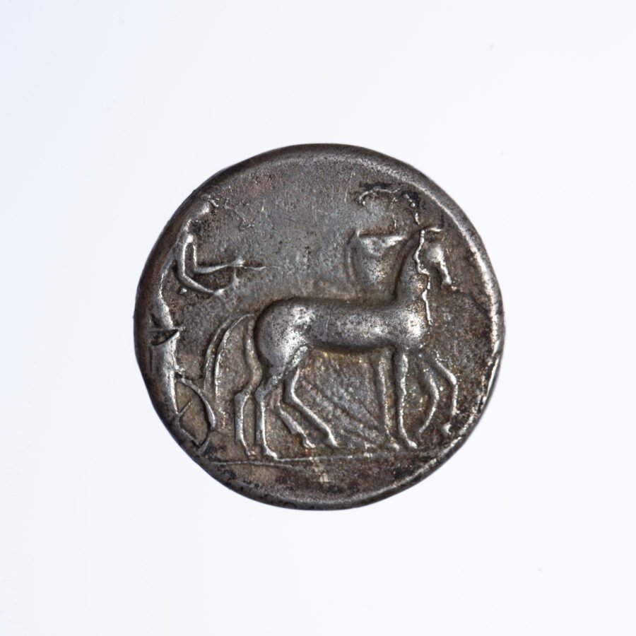 Moneda siciliana s. III a.C. - Imagen 2