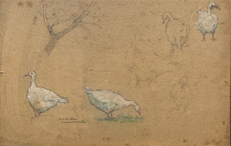 Armando García Núñez