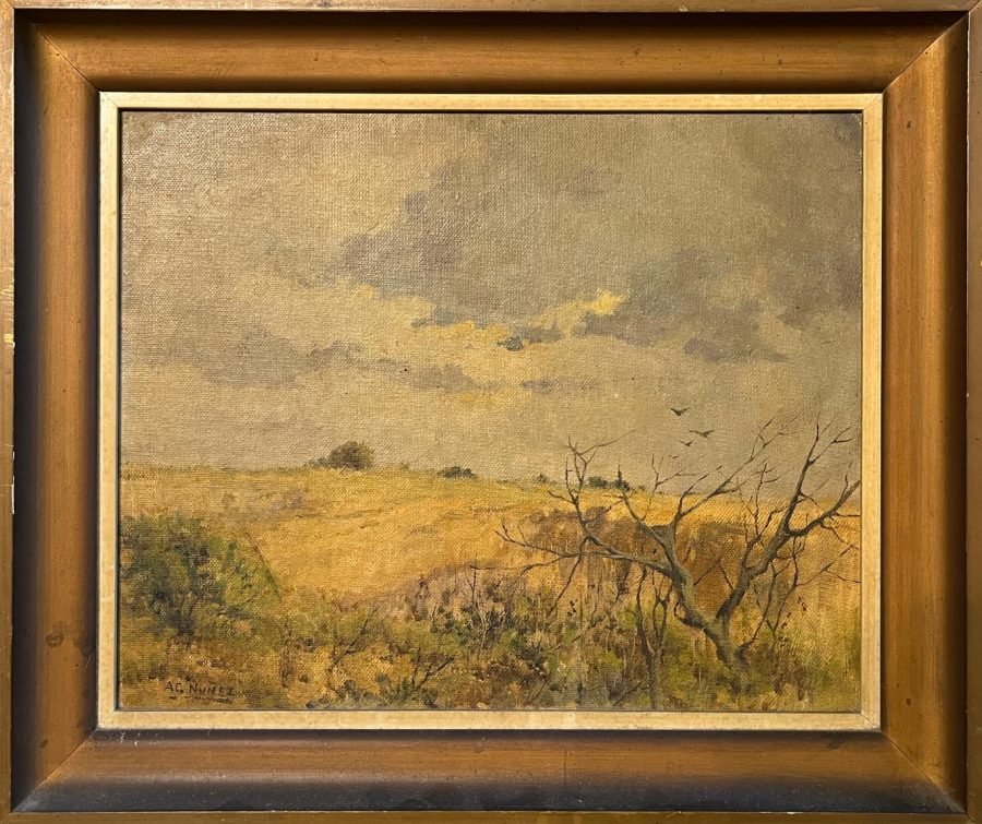 Armando García Núñez