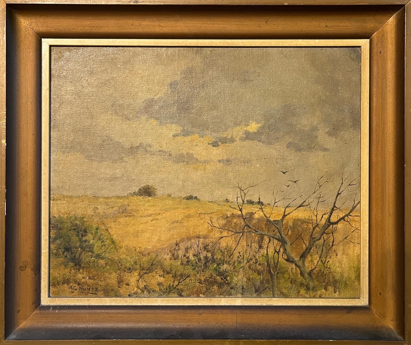 Armando García Núñez