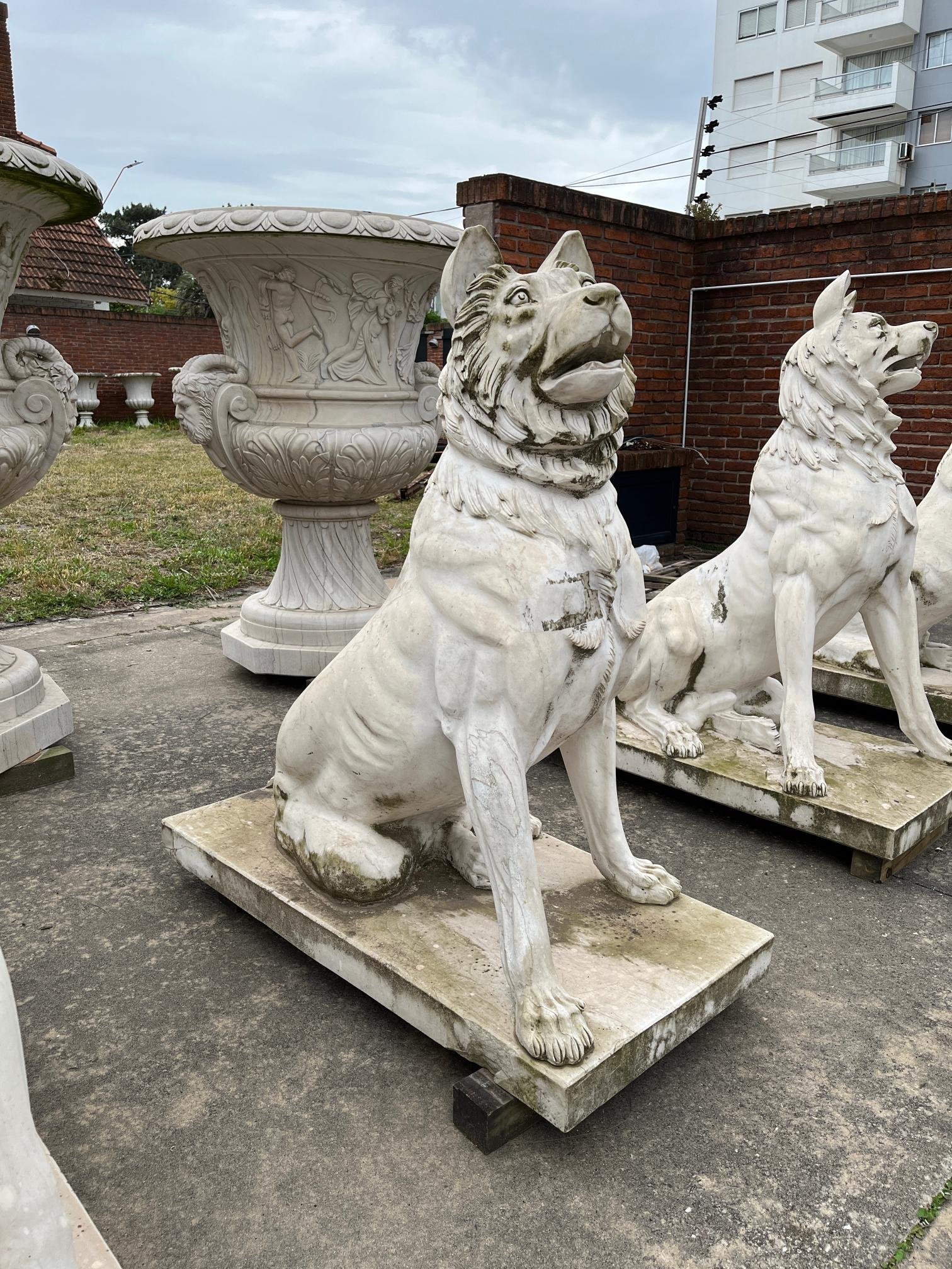Escultura en mármol "Perros guardianes"