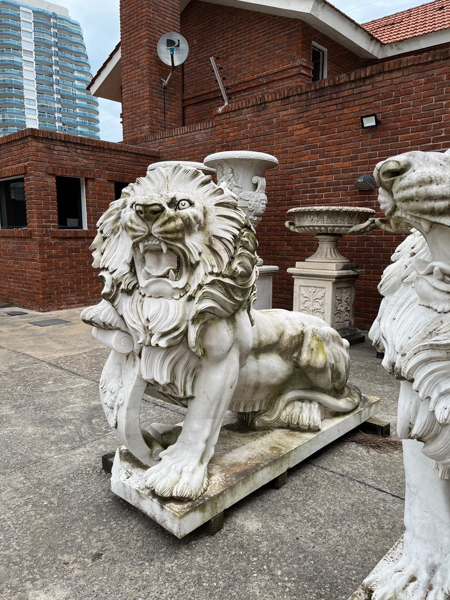 Escultura en mármol "Leones Marzocco"