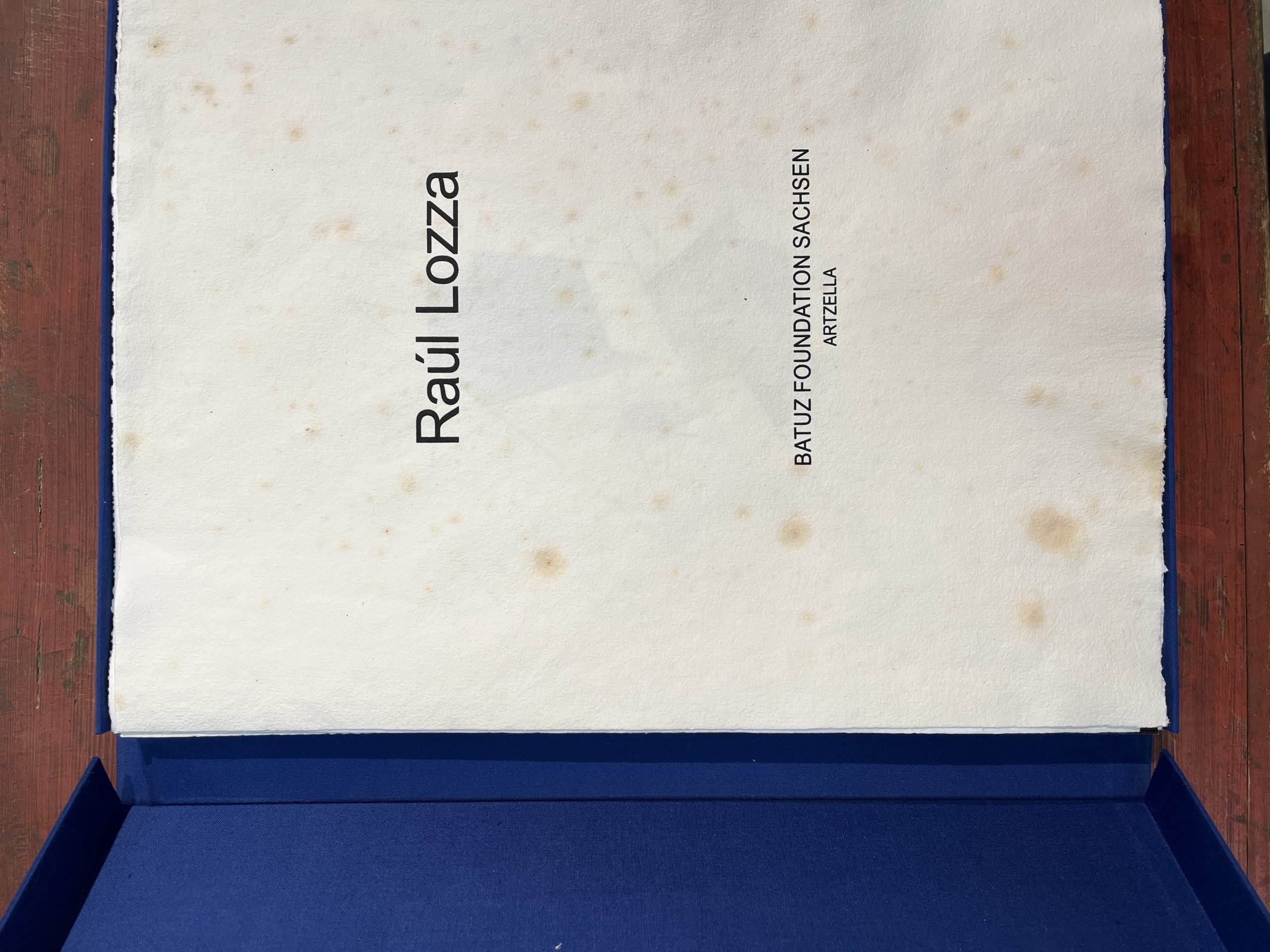 Raúl Lozza - Imagen 7