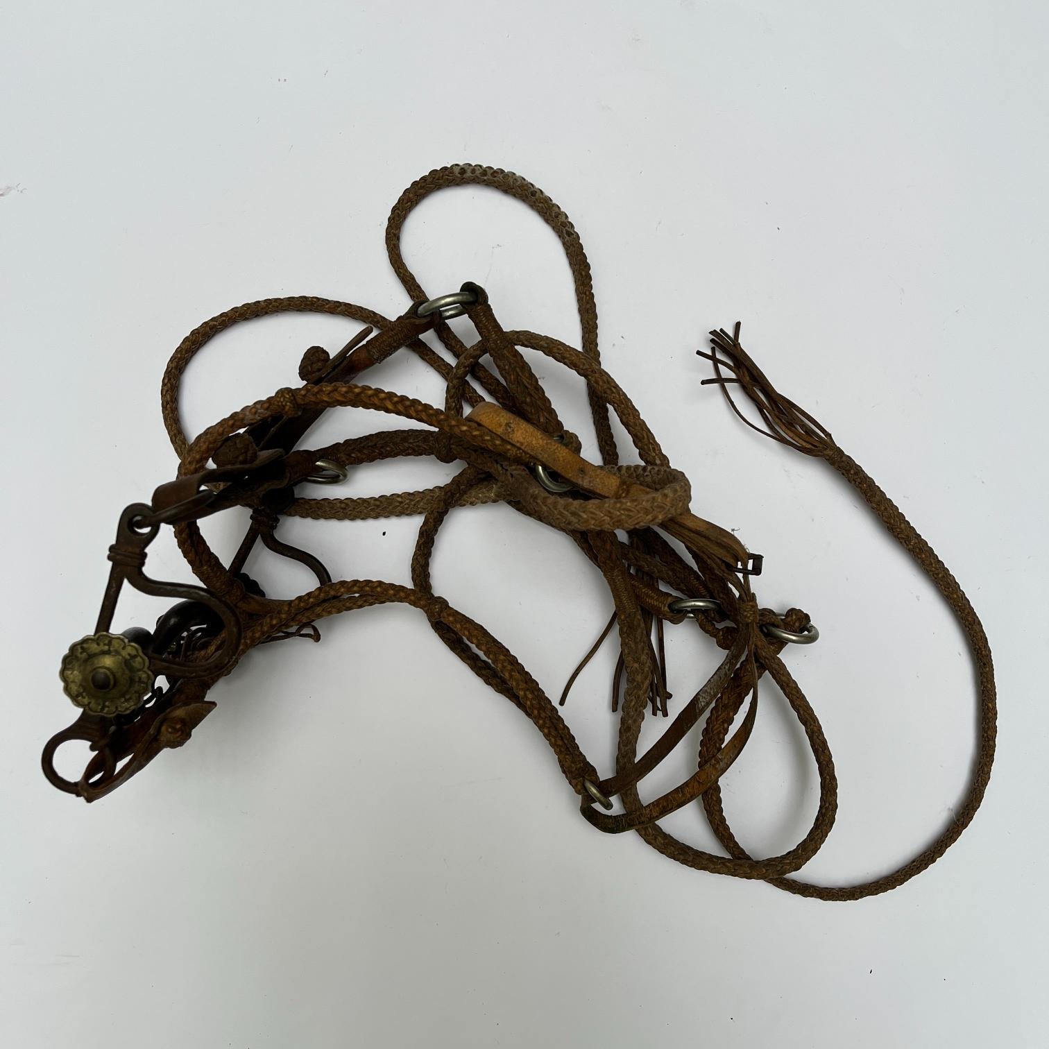 Juego de bozal