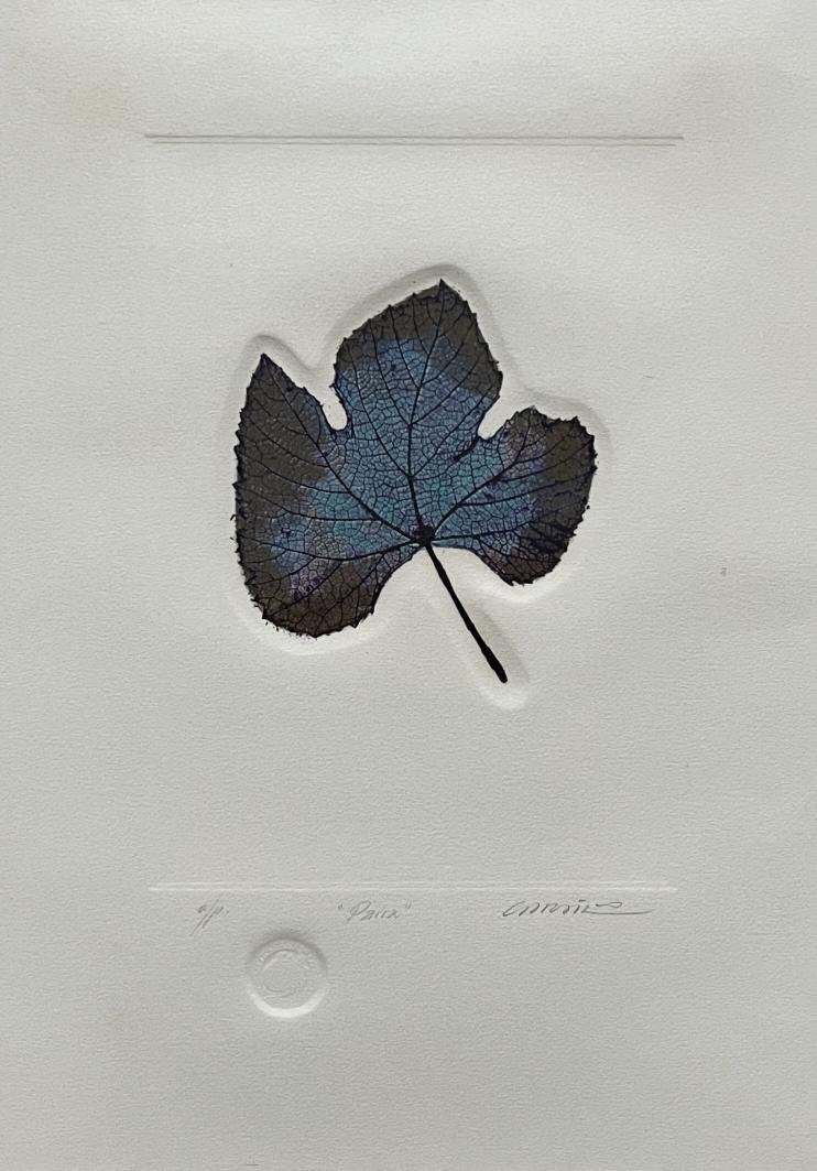 Rimer Cardillo