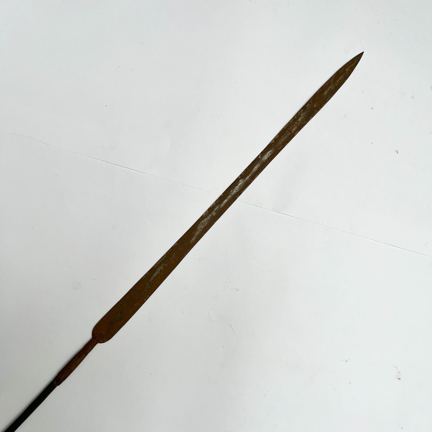 Lanza africana