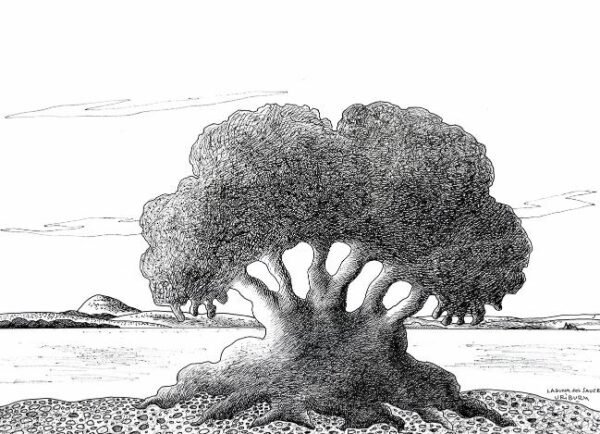 Nicolás García Uriburu