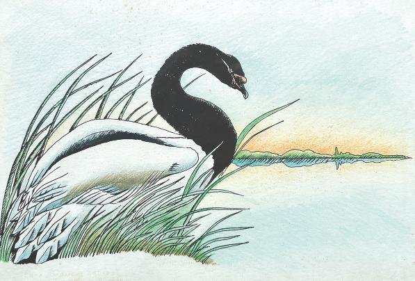 Nicolás García Uriburu