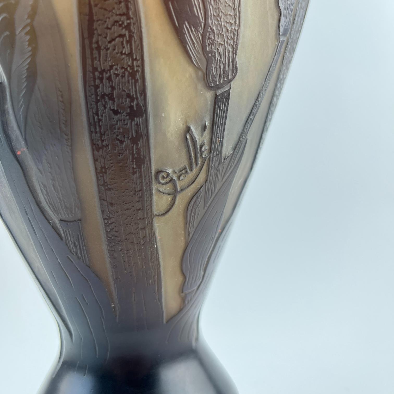 Émille Gallé - Imagen 2