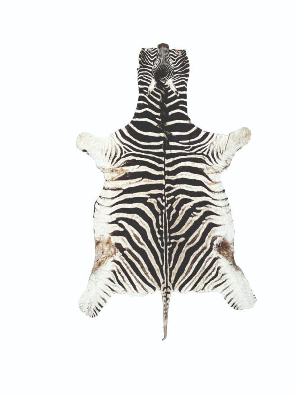 Alfombra piel de cebra